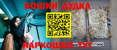 МДПВ Ставрополь