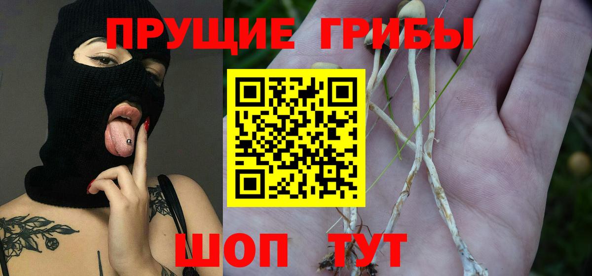 Галлюциногенные грибы Cubensis  Вход с VPN  Ковров 